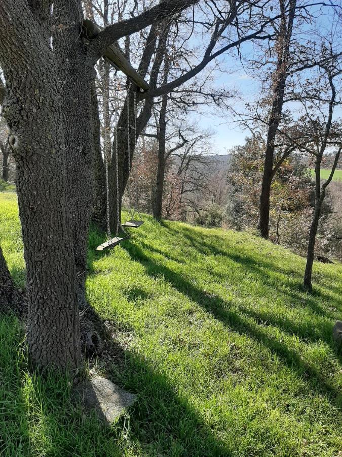 Allotjament Rural Solsona Bagian luar foto