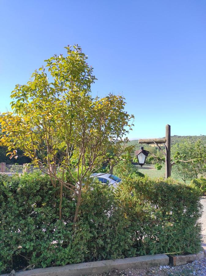 Allotjament Rural Solsona Bagian luar foto
