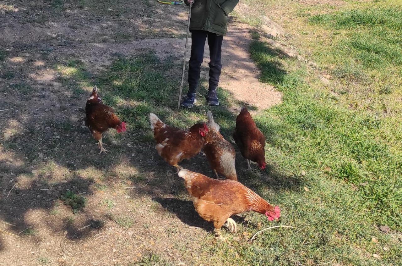 Allotjament Rural Solsona Bagian luar foto