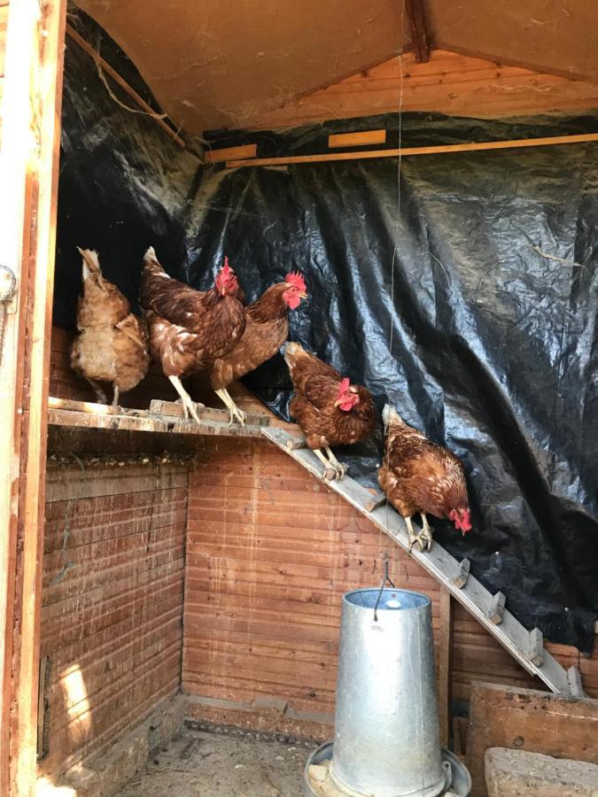Allotjament Rural Solsona Bagian luar foto