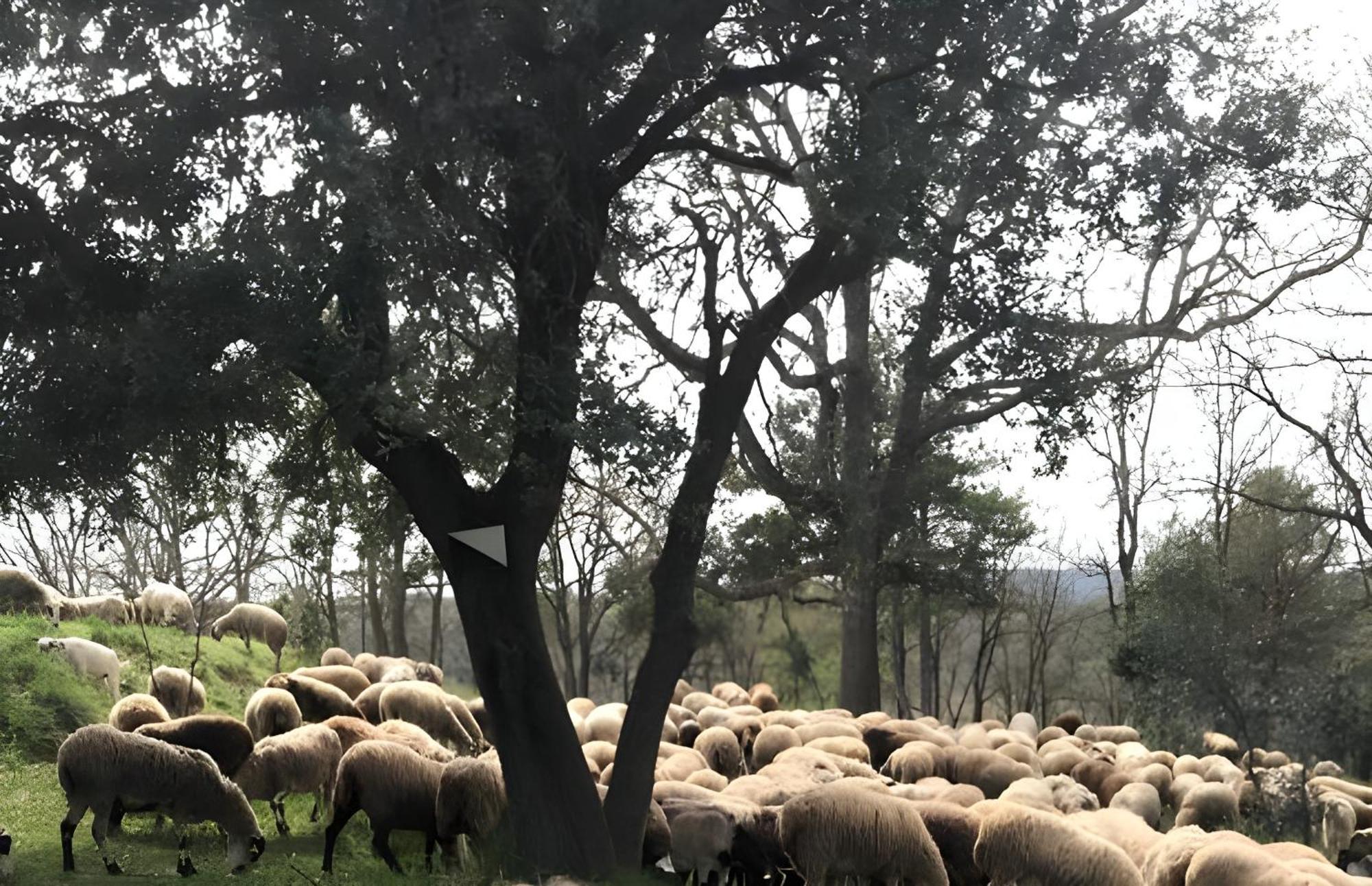Allotjament Rural Solsona Bagian luar foto